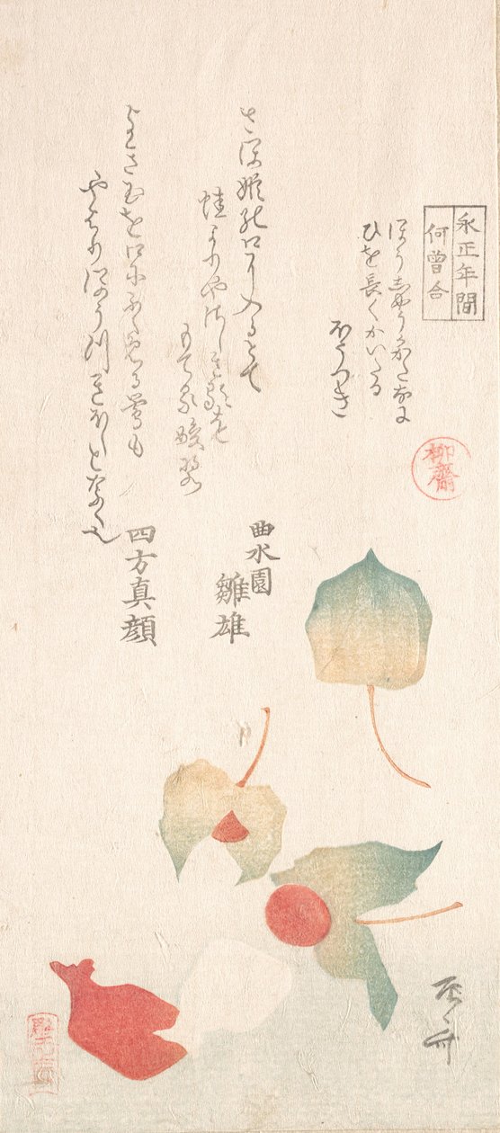 冬季樱桃。 作者 心斋