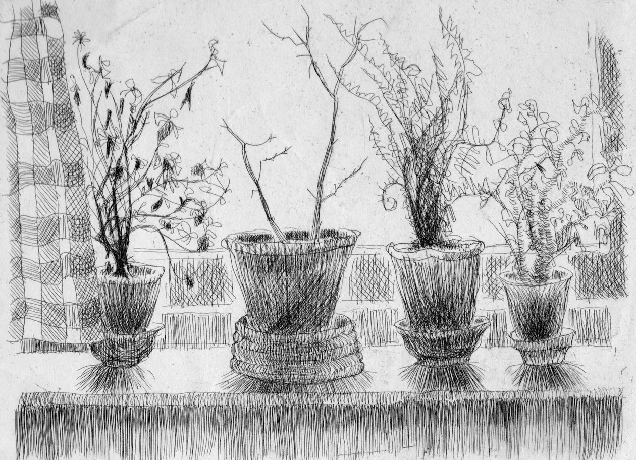窗台上的死亡植物，1952年。 作者 雪莉·马卡姆