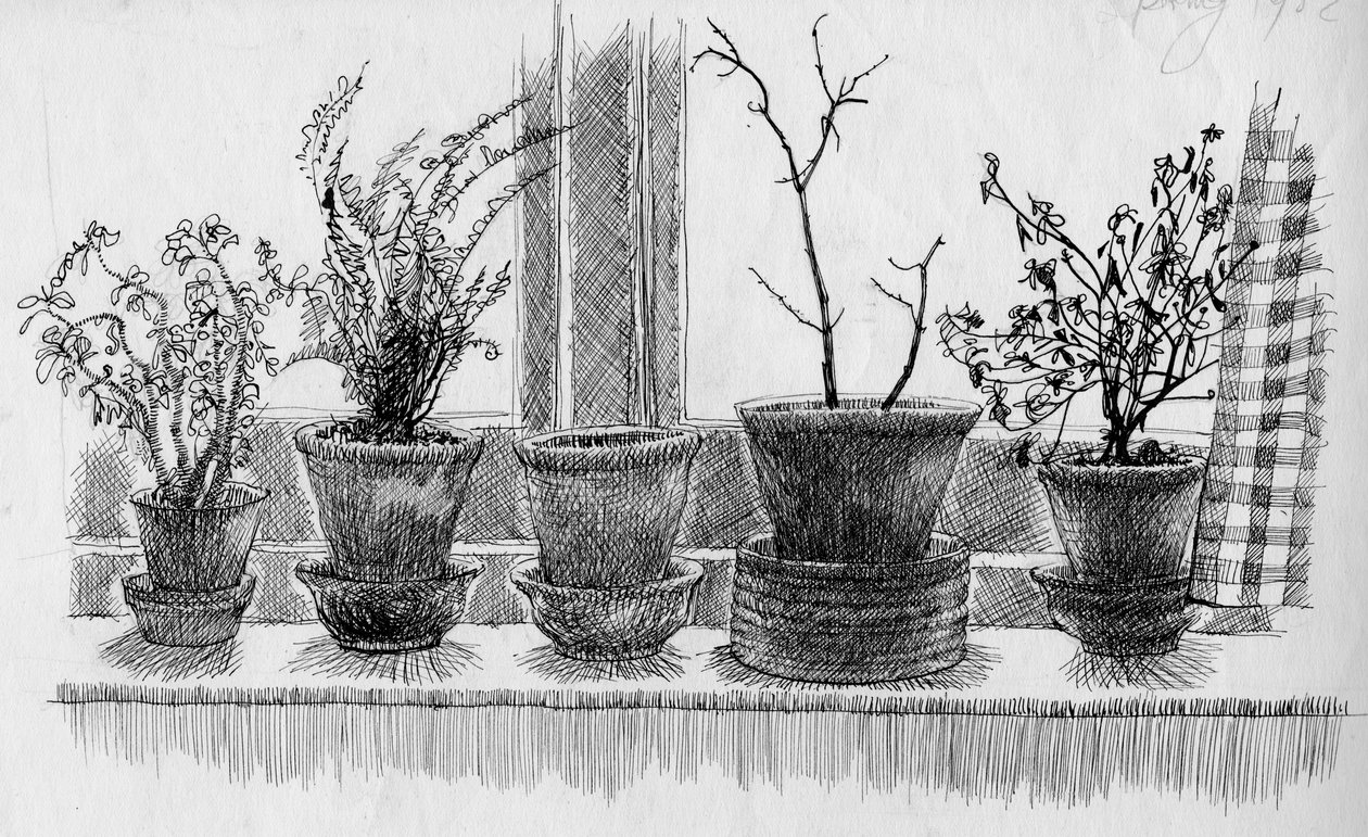 窗台上的死亡植物，1952年。 作者 雪莉·马卡姆