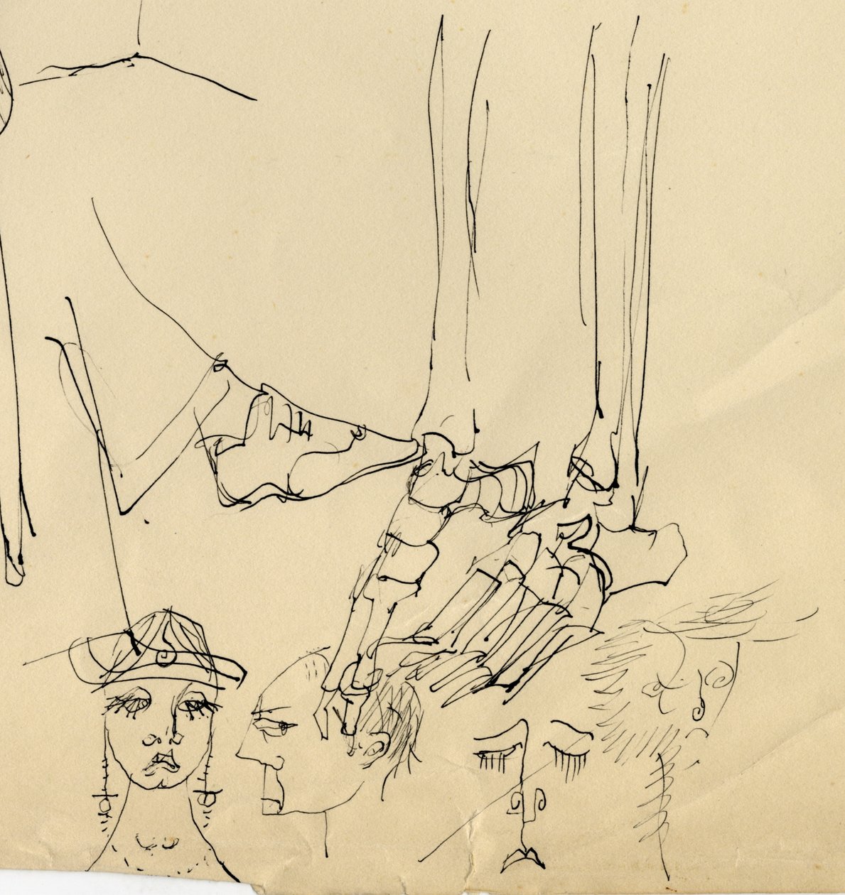 脸，和脚的骨头，1953年。 作者 雪莉·马卡姆