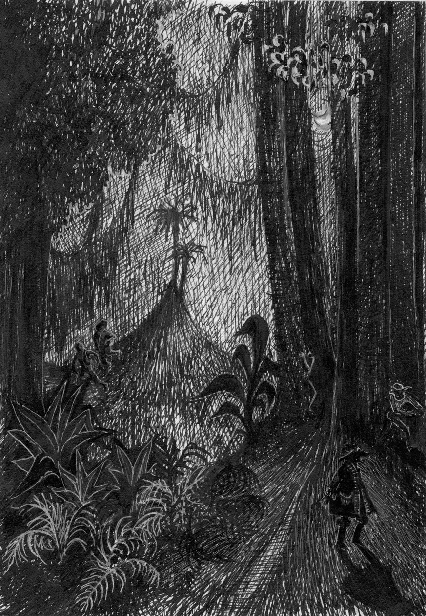 雨林中的海盗，1953年。 作者 雪莉·马卡姆