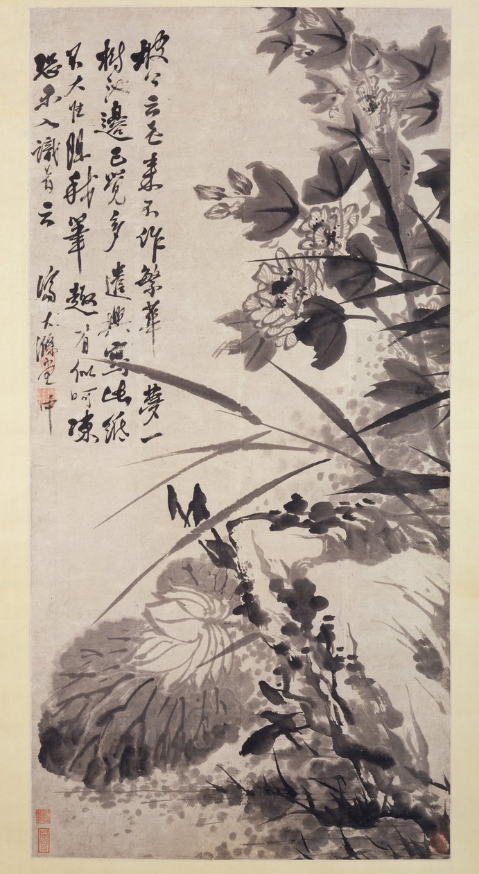 芙蓉，莲花和岩石1705-7。 作者 石涛