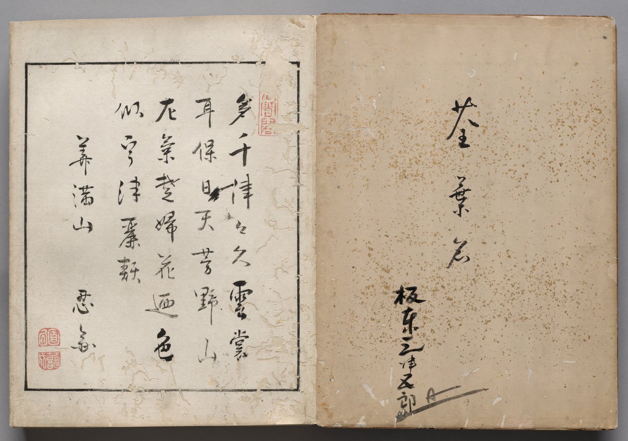 演员肖像相册》中的叶片 作者 升草斋