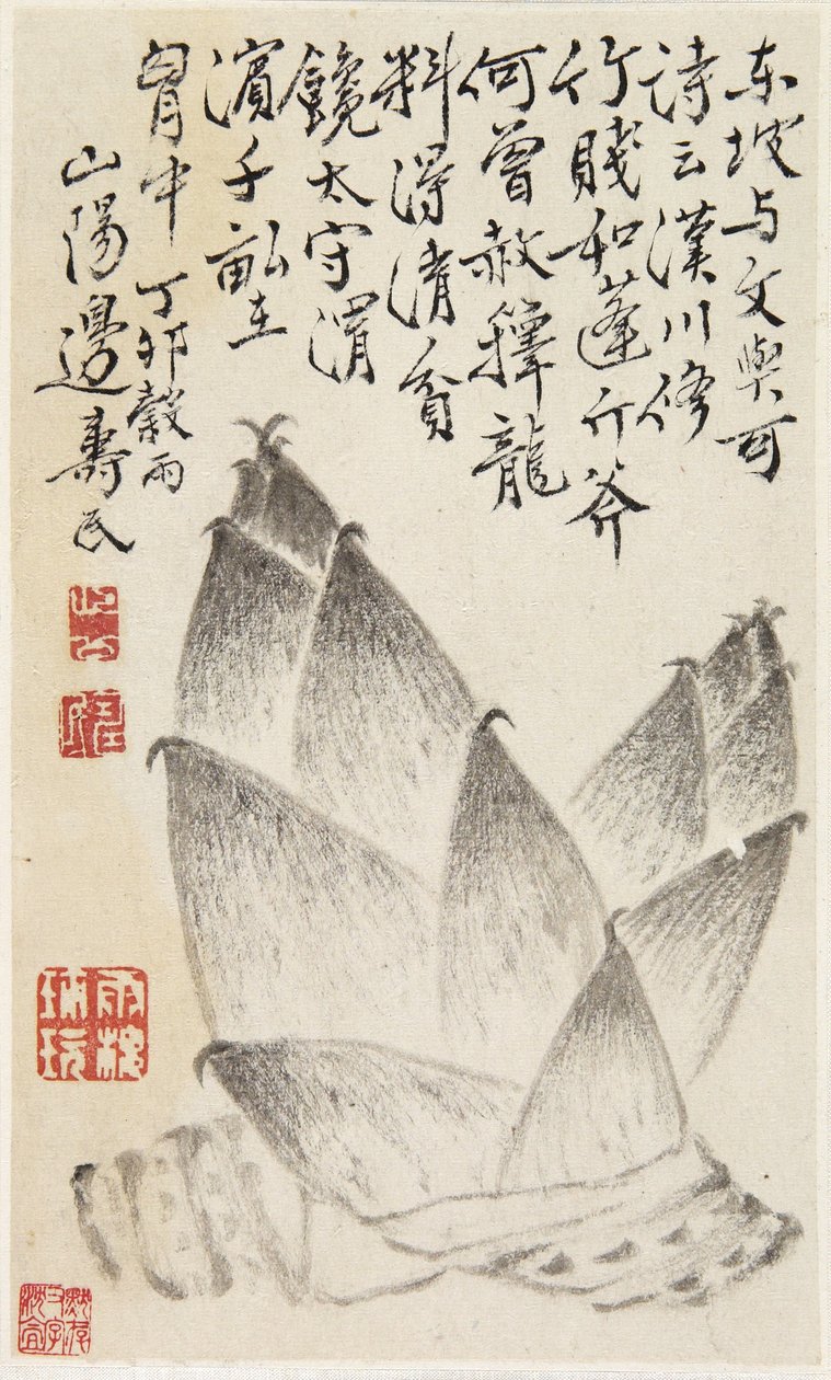 Bamboo Shoots，来自蔬菜专辑（纸上墨水） 作者 寿敏片