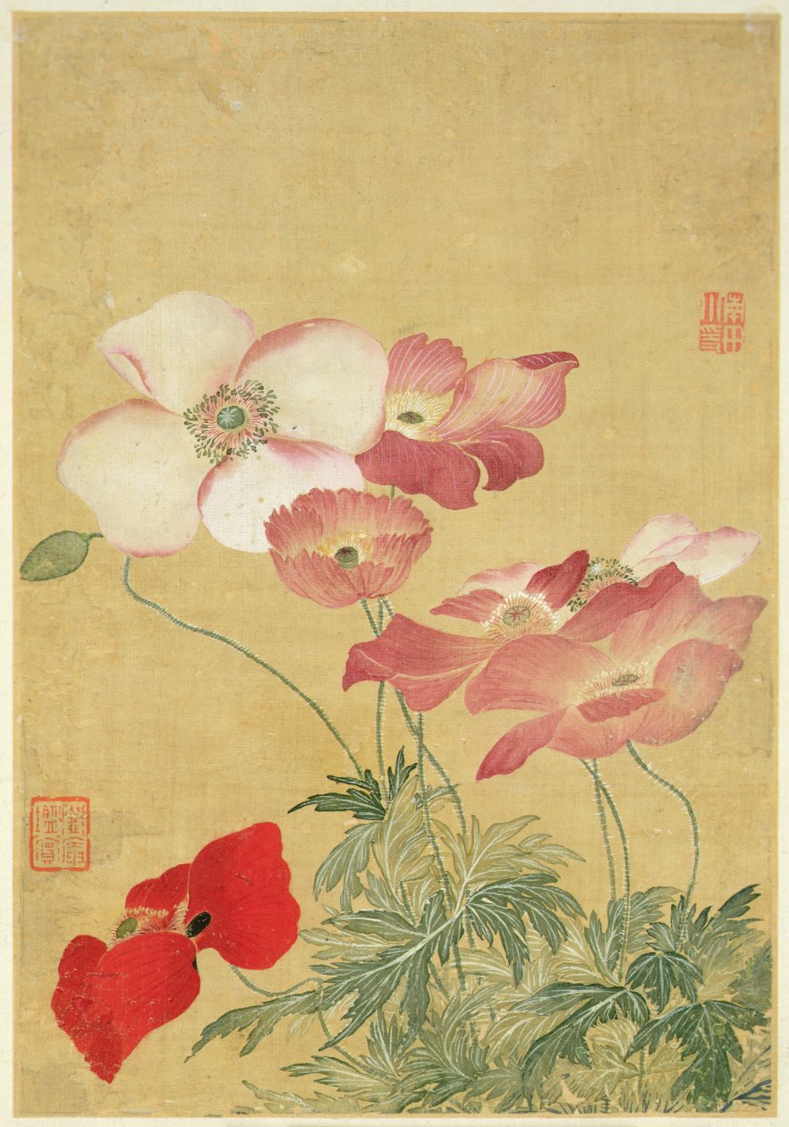 来自《花卉画册》的图片（水彩画） 作者 寿云