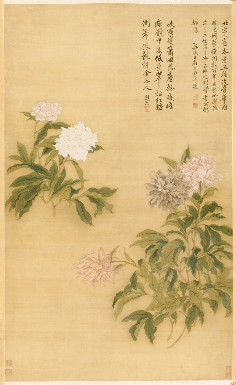 牡丹，挂轴 作者 寿云