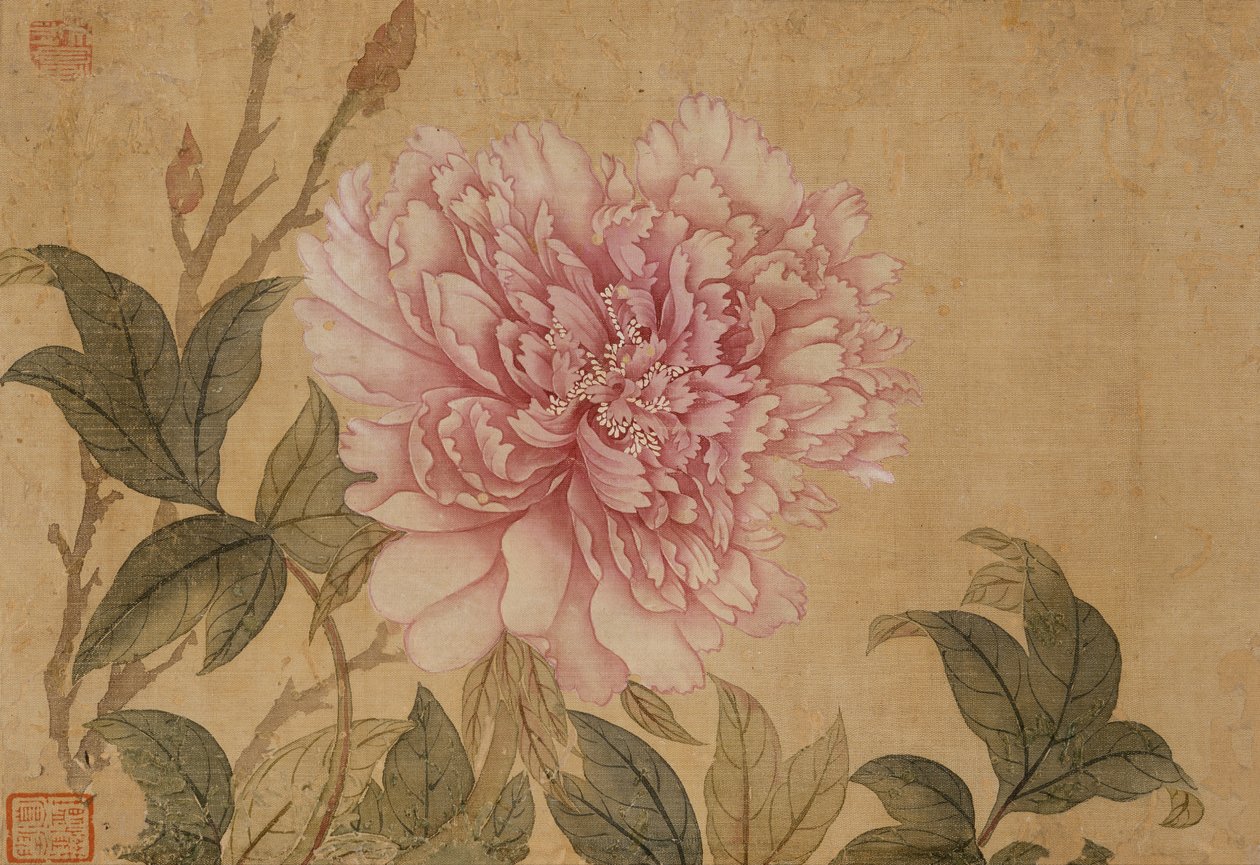 牡丹，花卉画册中的叶子（丝绸上的墨水和彩色）。 作者 寿云