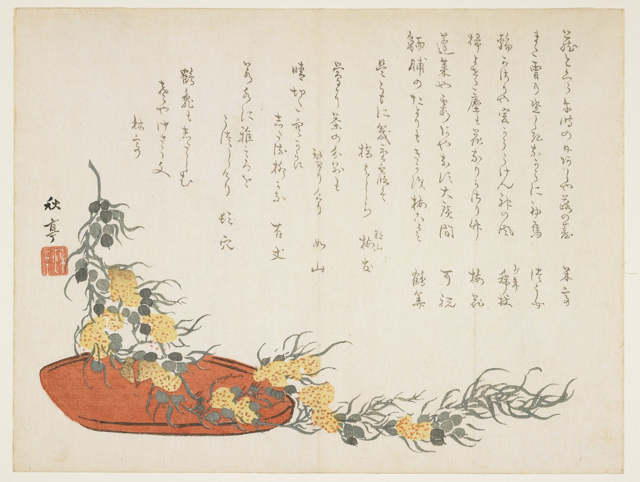 （Vine streamer），1854-1859 作者 田中修太