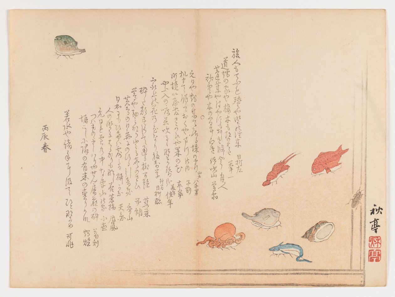 各种各样的鱼，1855年春天（木版画，Chûban洋-e格式） 作者 田中修太