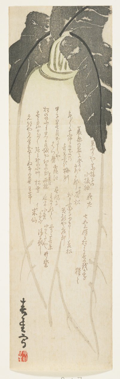 Daikon萝卜，1864年1月（彩色木版画） 作者 顺世