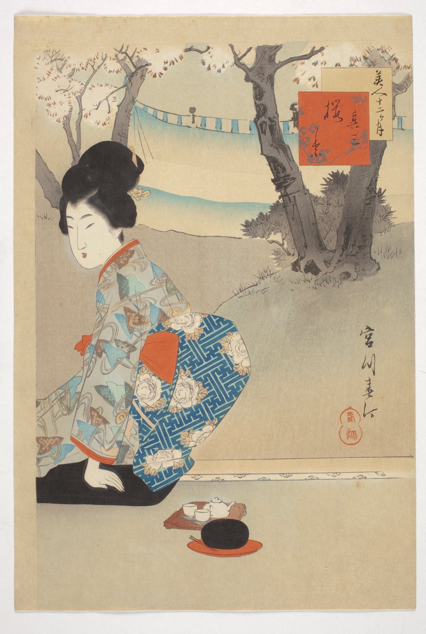 三棵盛开的樱花树，选自 "十二个月的美人 "系列 作者 宫川顺平