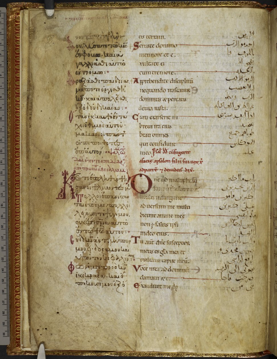 哈雷 MS 5786 f.2v 三语诗篇。Rahlfs 174，约 1130-54 年（牛皮纸） 作者 西西里学校