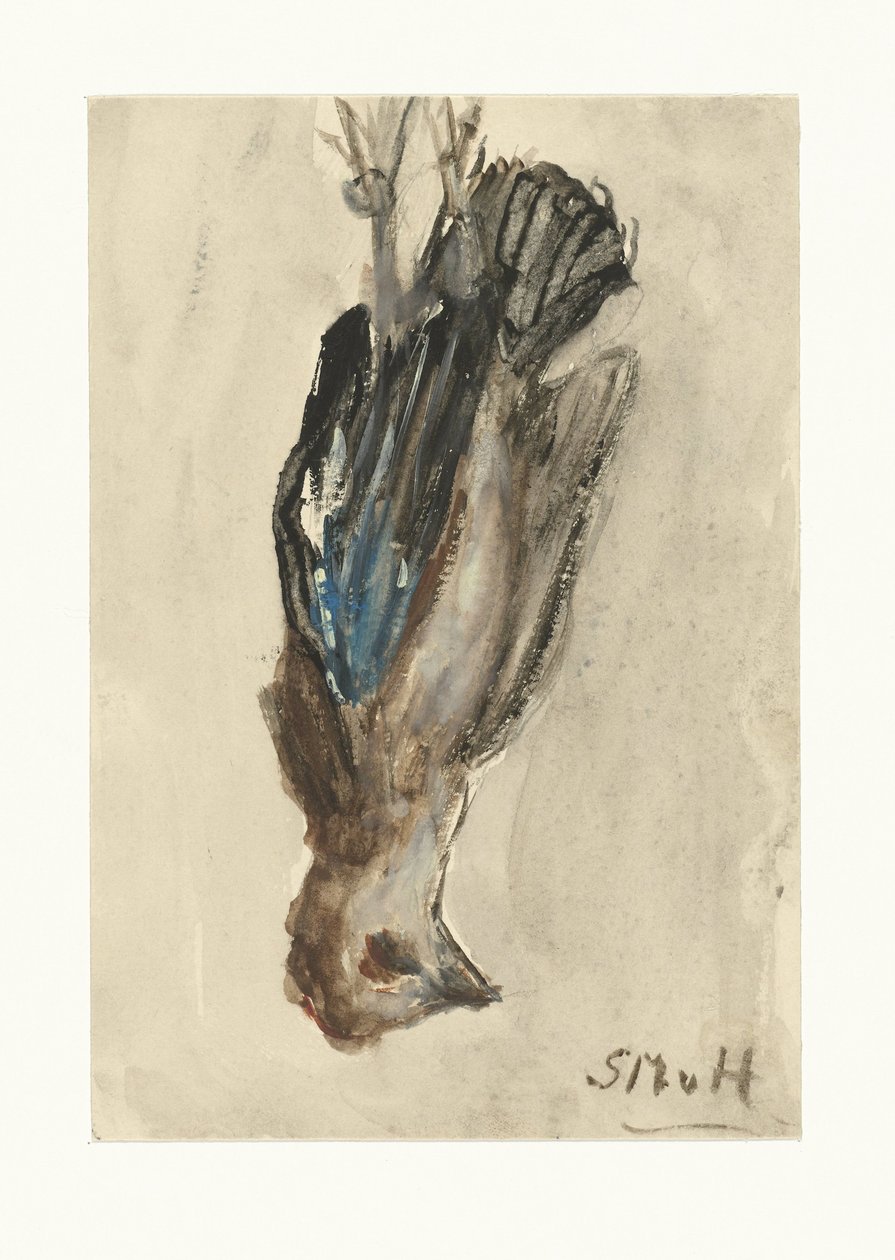 死鸟双腿悬空 作者 Sientje Mesdag van Houten