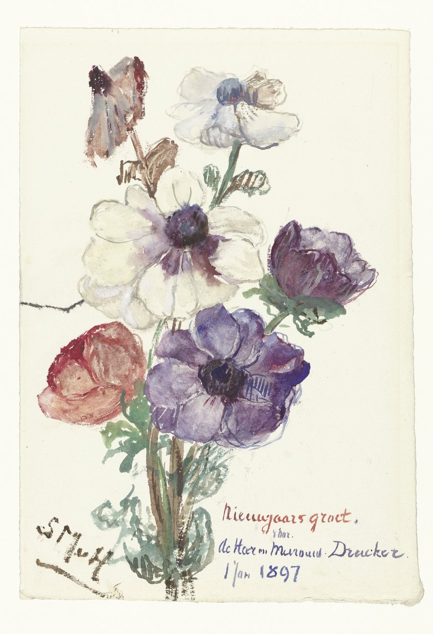海葵的新年祝福 作者 Sientje Mesdag van Houten