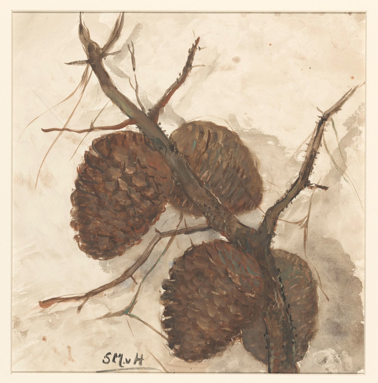 树枝上的云杉苹果 作者 Sientje Mesdag van Houten