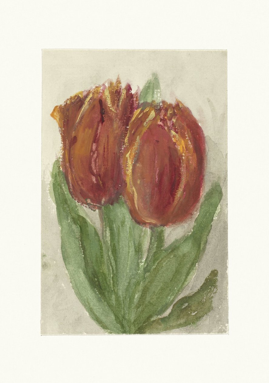 两朵红色郁金香 作者 Sientje Mesdag van Houten
