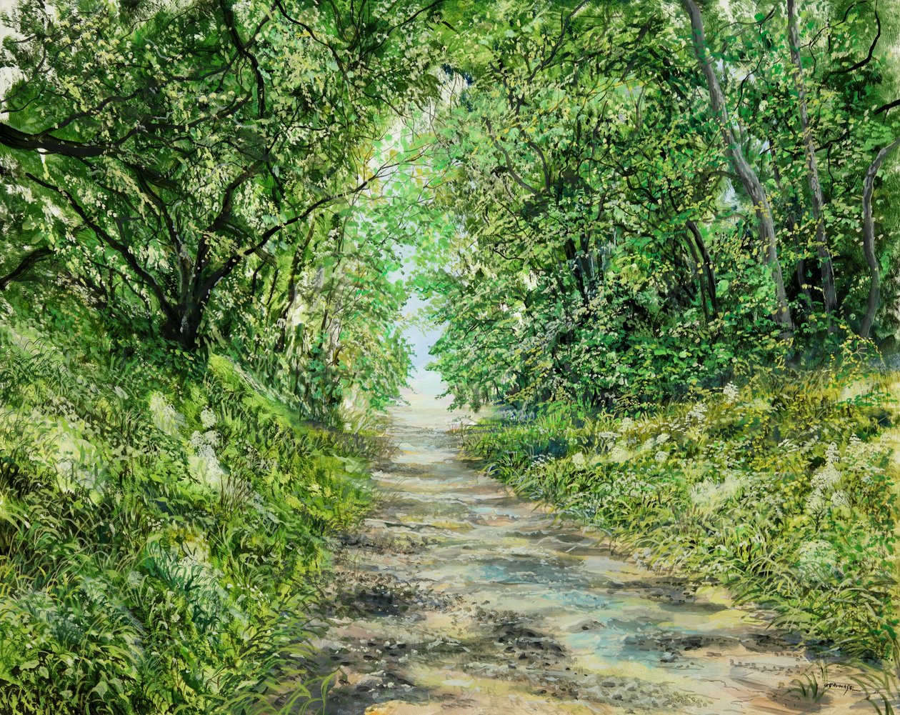 隧道路 作者 西尔维安·斯特恩哈格尔