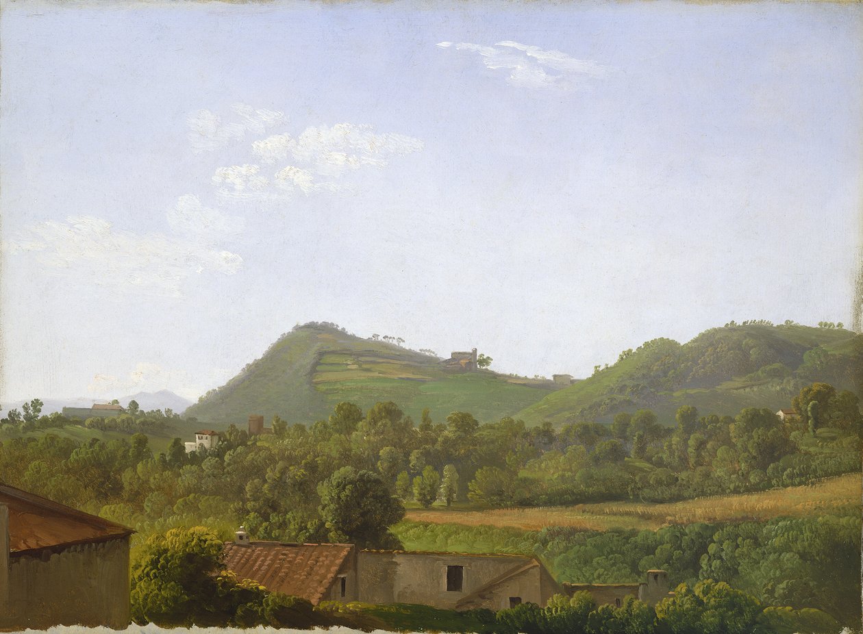 查看那不勒斯附近，c.1806（画布上的纸上油） 作者 西蒙·亚历山大·克莱门特·丹尼斯