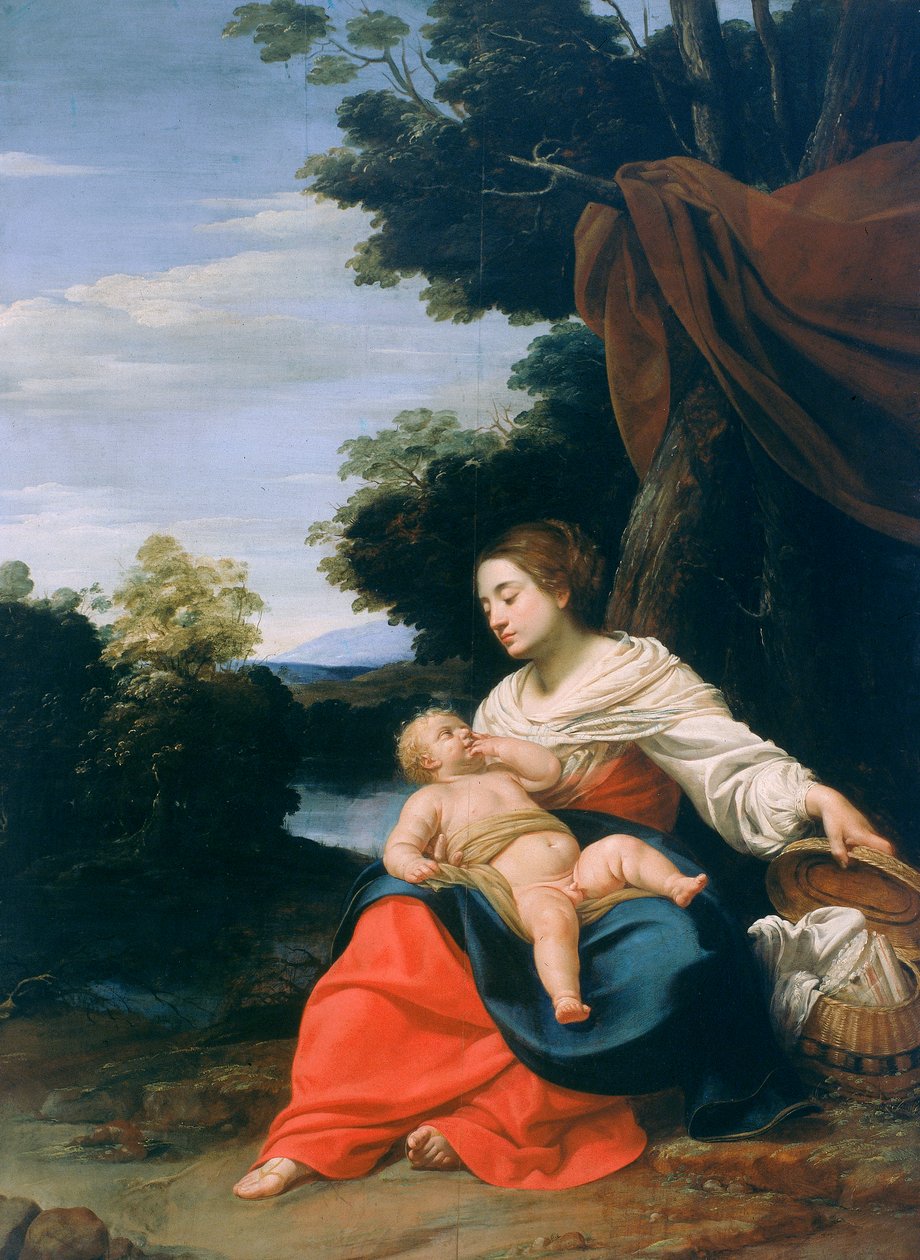 麦当娜和儿童，被称为Madonna della Cesta（篮子的麦当娜） 作者 西蒙·沃特