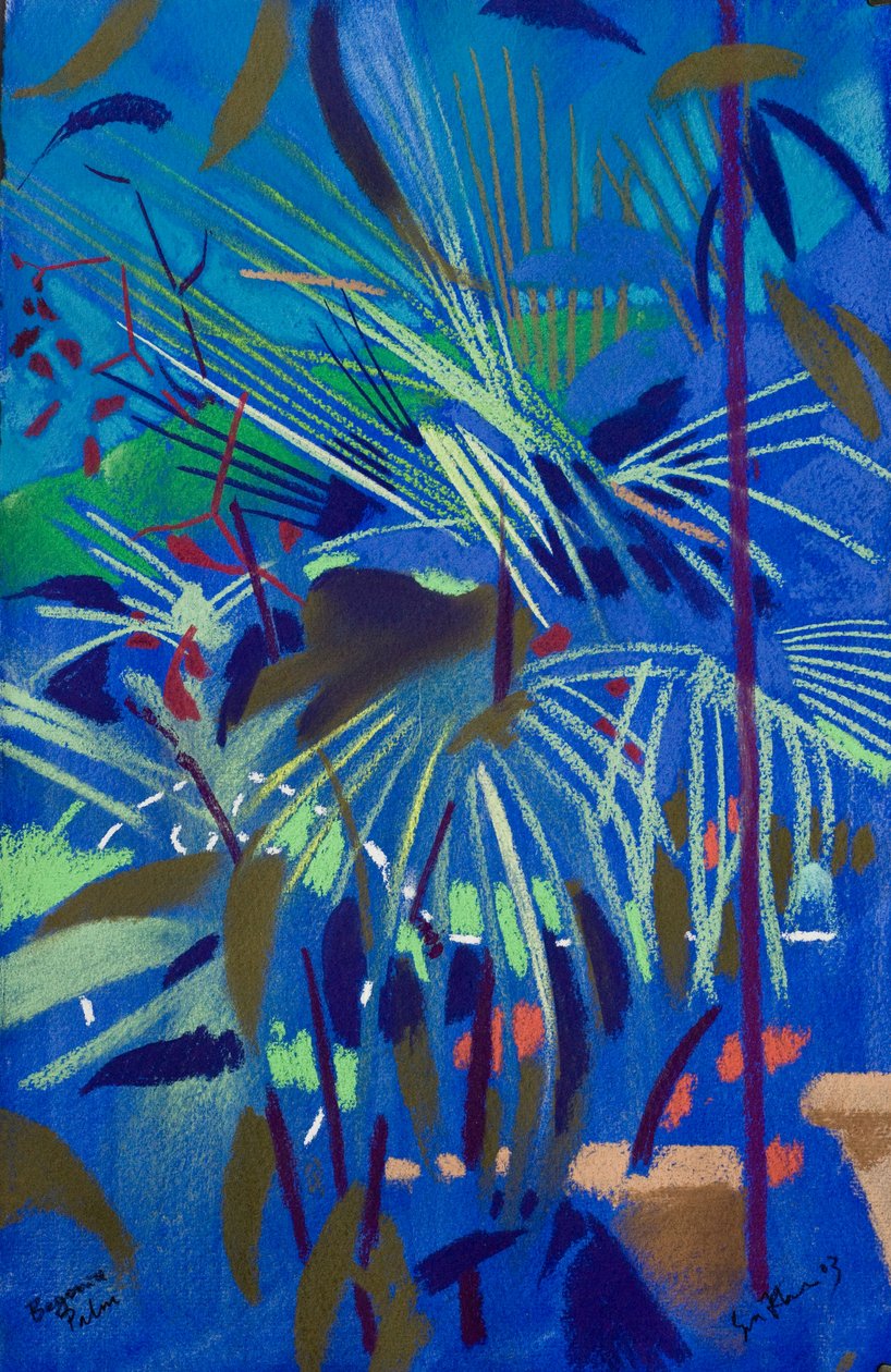 海棠棕榈（纸上粉彩画） 作者 西蒙·弗莱彻