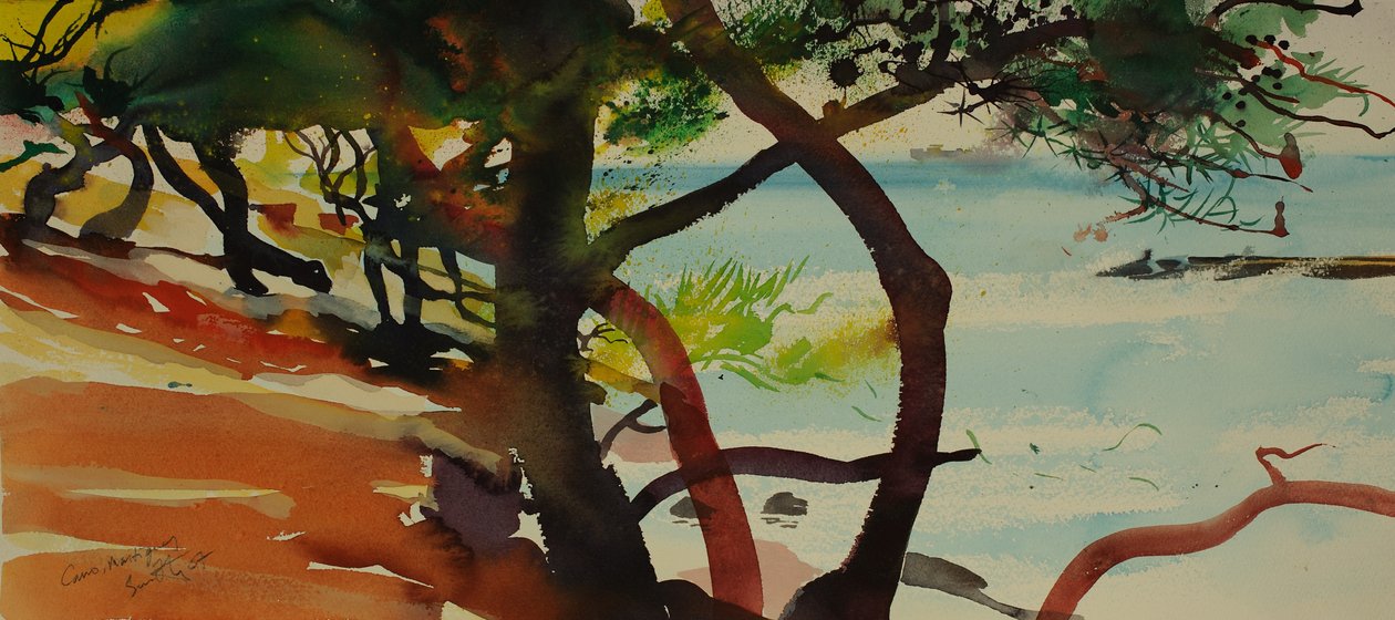 卡罗，马提圭，2007 年（水彩画） 作者 西蒙·弗莱彻