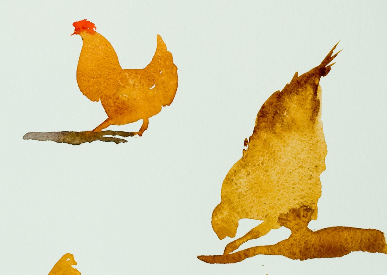 小鸡，一只在抓挠，2013 年（水彩画） 作者 西蒙·弗莱彻