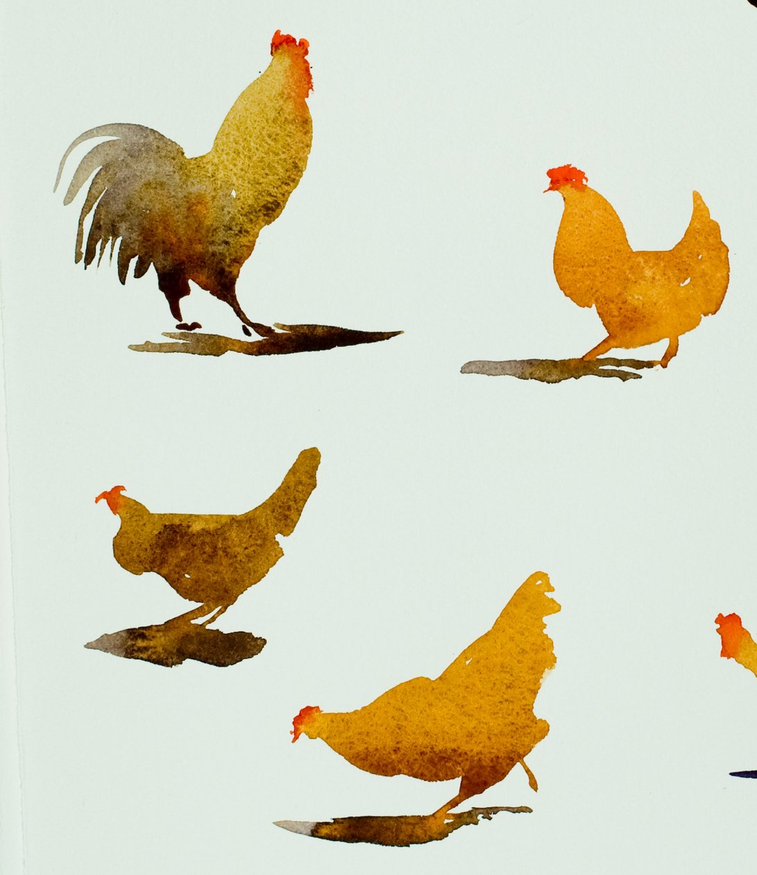 公鸡和三只母鸡，2013 年（水彩画） 作者 西蒙·弗莱彻