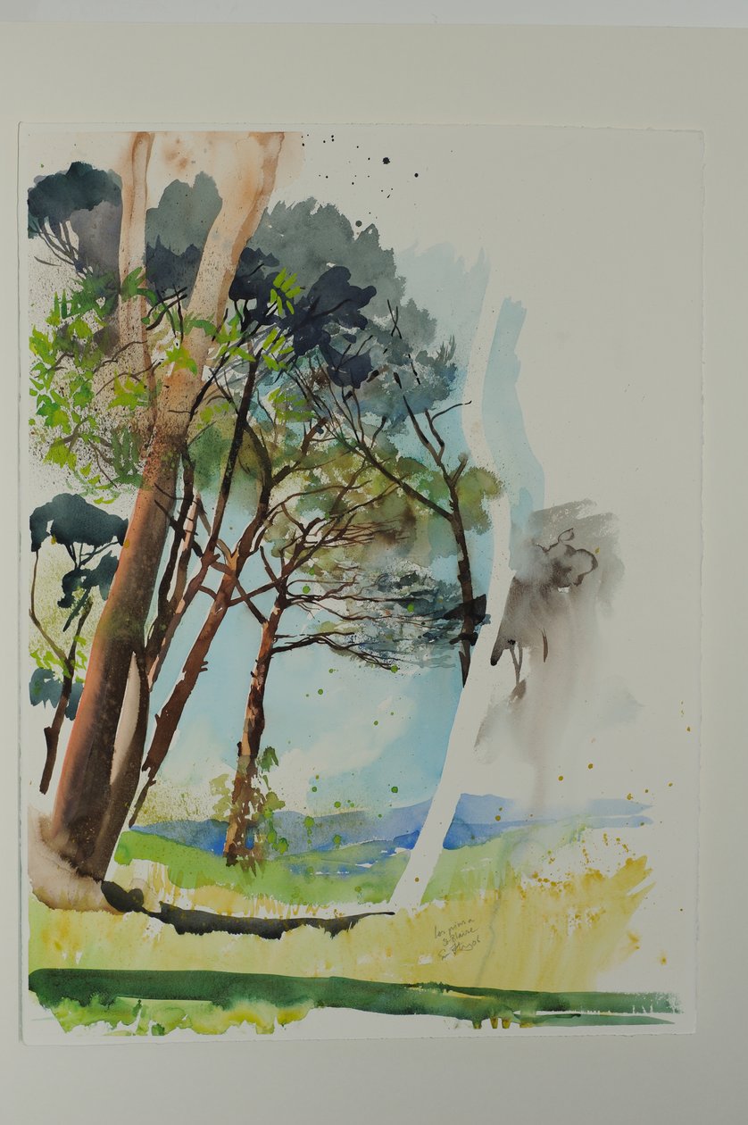 圣布莱斯的松树，2004 年（纸上水彩画） 作者 西蒙·弗莱彻