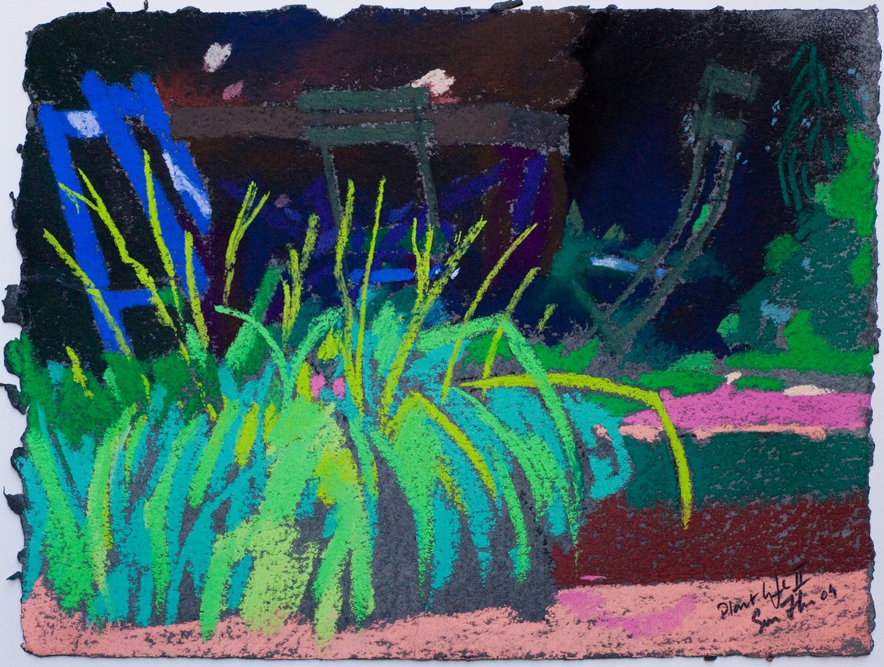 植物生命（粉彩纸） 作者 西蒙·弗莱彻
