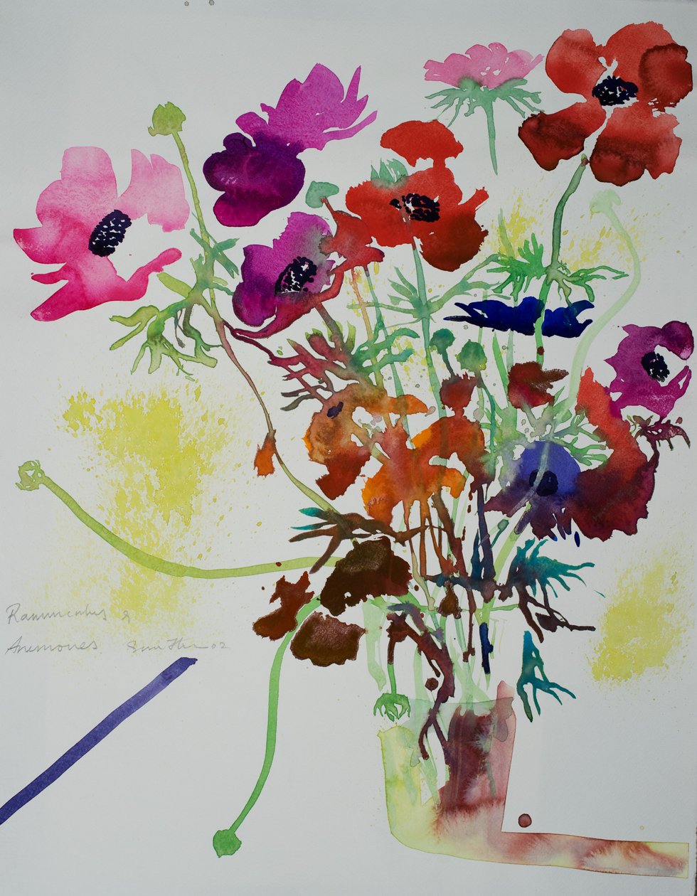 小牡丹和海葵，2010 年（水彩画） 作者 西蒙·弗莱彻