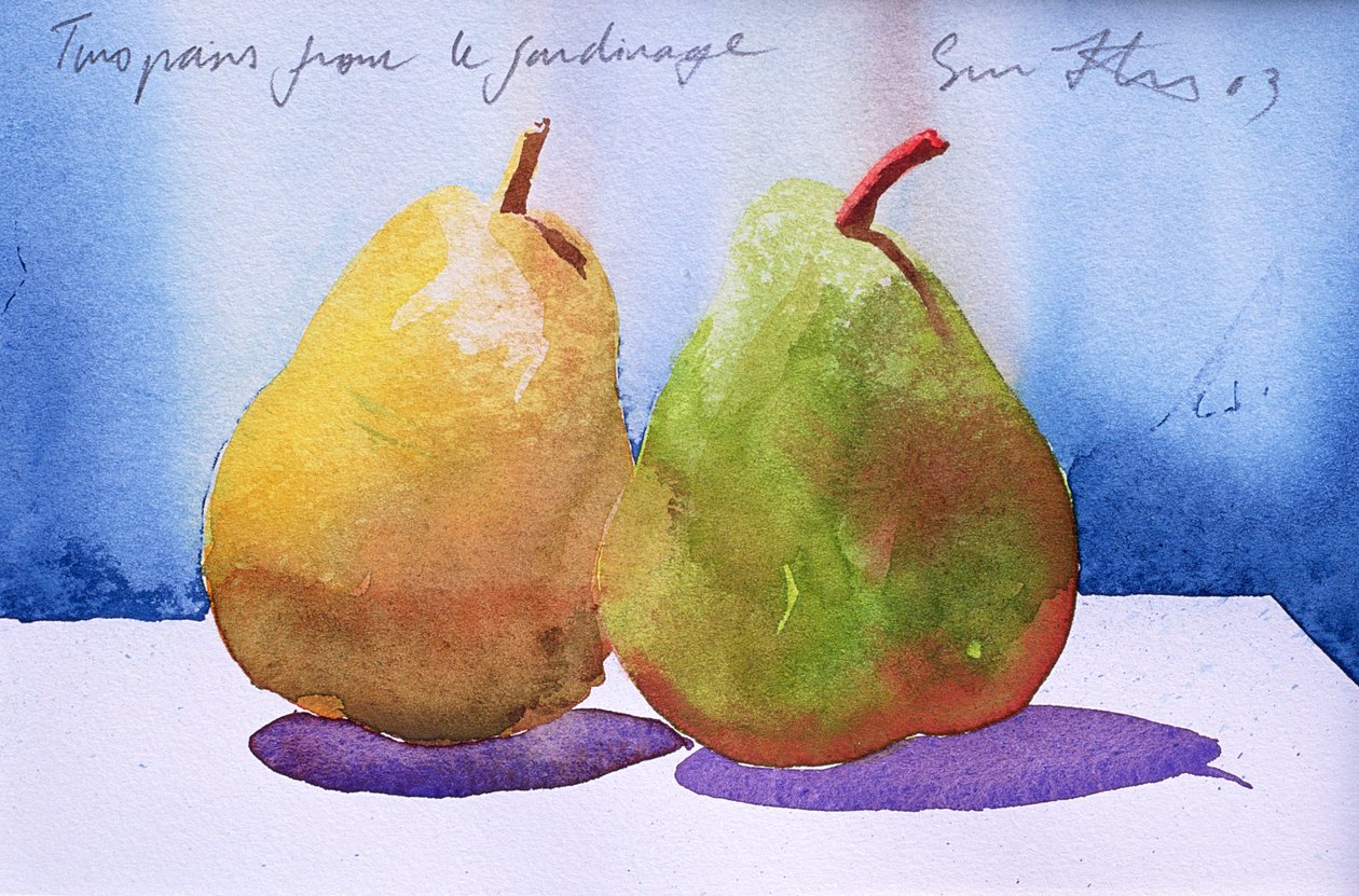 花园里的两个梨，2003 年（纸上水彩画） 作者 西蒙·弗莱彻