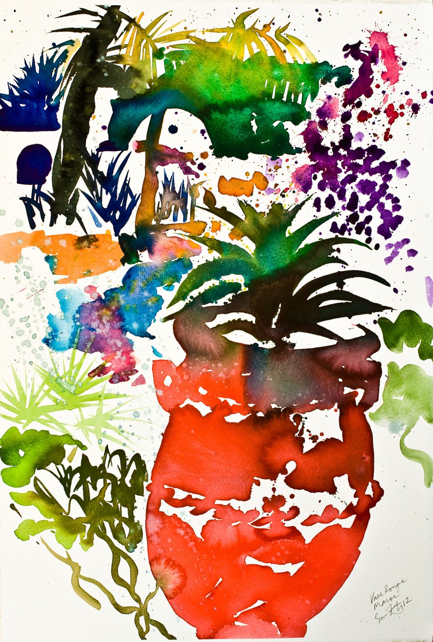 胭脂花瓶，摩洛哥 2013. 作者 西蒙·弗莱彻