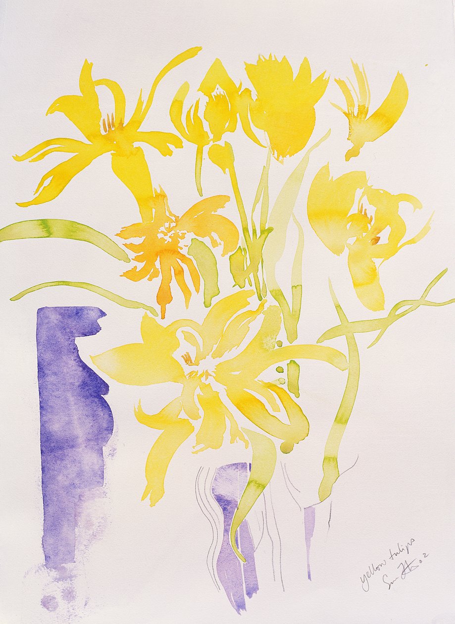 黄色郁金香》，2000 年（水彩画） 作者 西蒙·弗莱彻