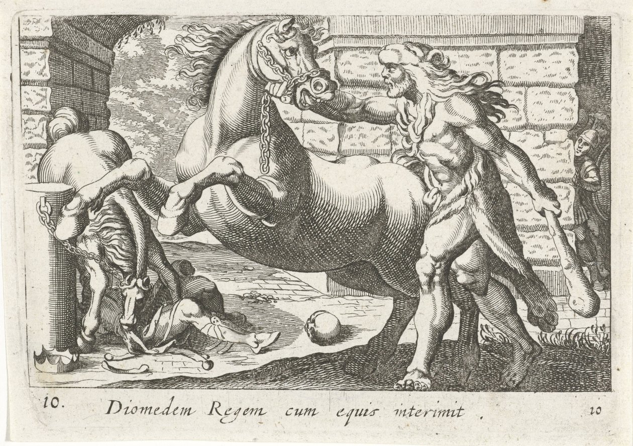 赫拉克勒斯驯服狄俄墨得斯的马匹
Diomedem Regem cum equis（物体上的标题）
大力士主题（系列标题） 作者 西蒙·弗里修斯
