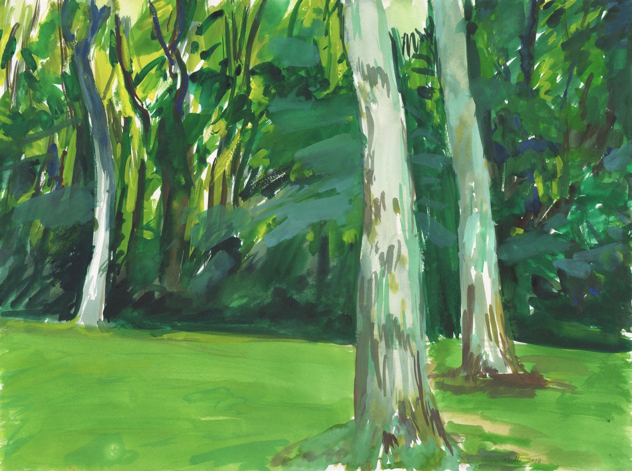 花园和湿地，2018（纸上水彩画） 作者 西蒙·内维尔