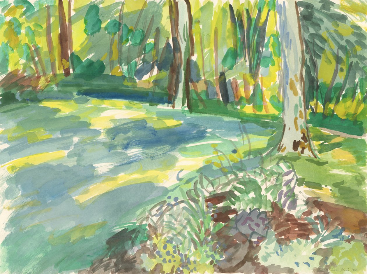 花园和湿地，2018（纸上水彩画） 作者 西蒙·内维尔