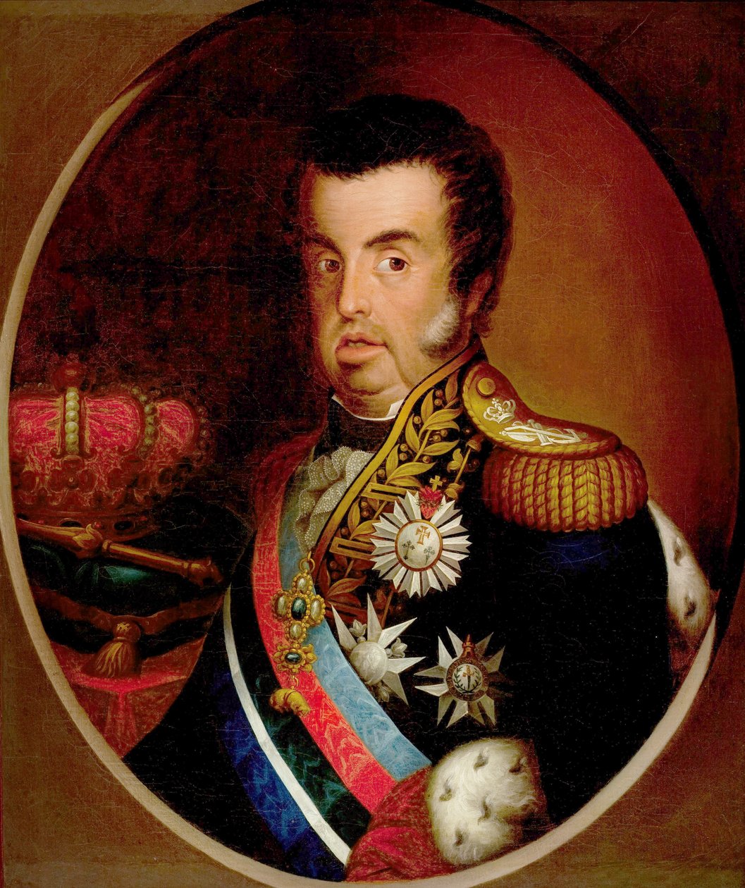 DomJoãoVI的肖像（1767-1826） 作者 萨普利西罗·罗德里格斯