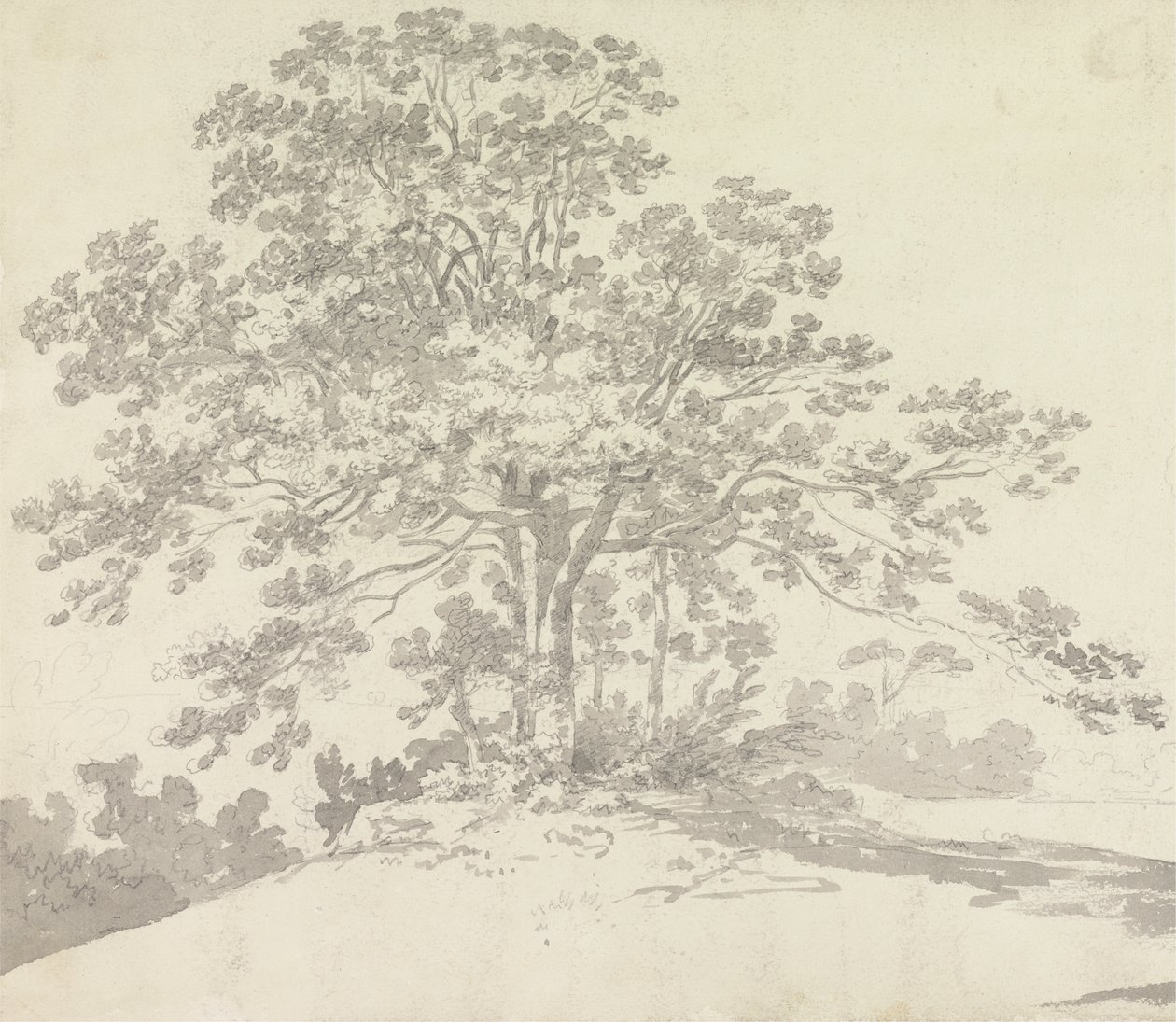 树 作者 George Howland Beaumont 爵士第七世男爵