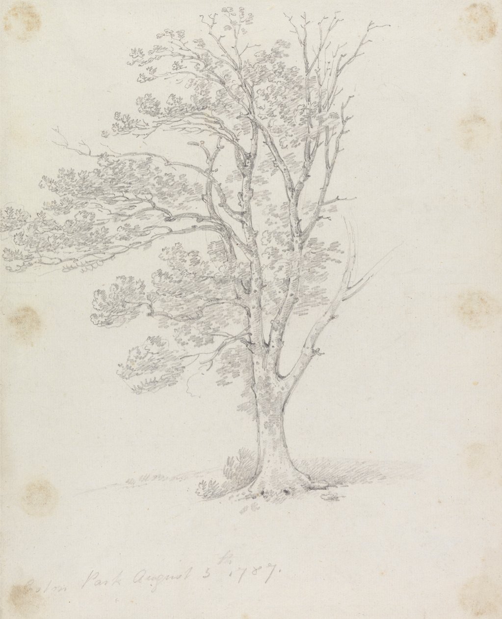 伊斯顿公园的树 作者 George Howland Beaumont 爵士第七世男爵