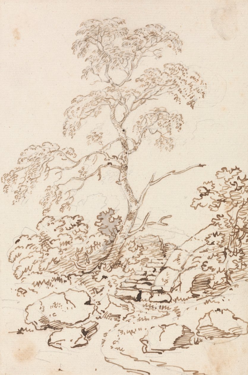 阶梯树 作者 George Howland Beaumont 爵士第七世男爵