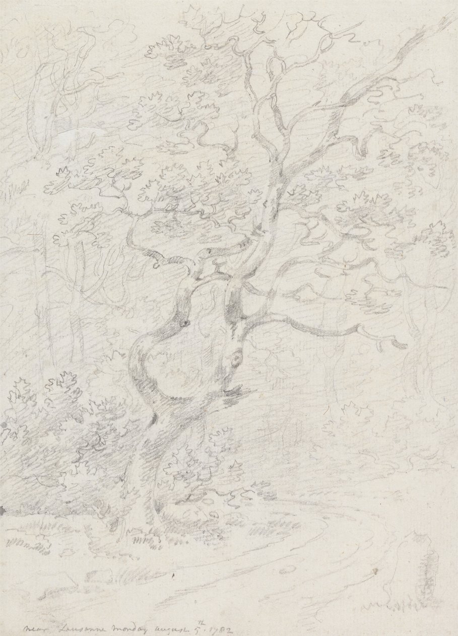洛桑附近的树木 作者 George Howland Beaumont 爵士第七世男爵