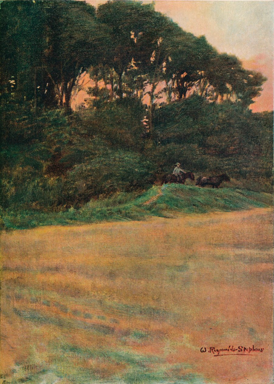 研究，c1900 1903-1904 作者 威廉·雷诺兹·斯蒂芬斯爵士
