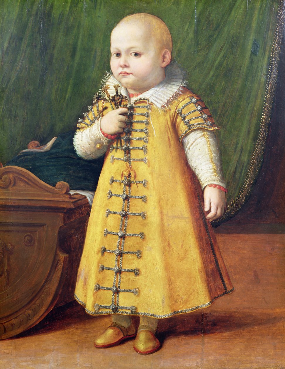 孩子的肖像（面板） 作者 Sofonisba Anguissola