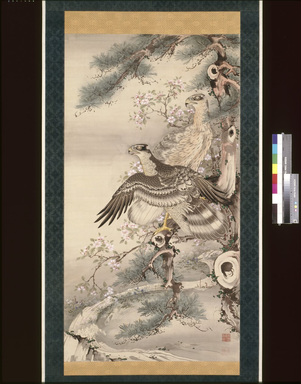 一对带花枝的鹰（绢本水墨、彩色、金色） 作者 曾我翔博