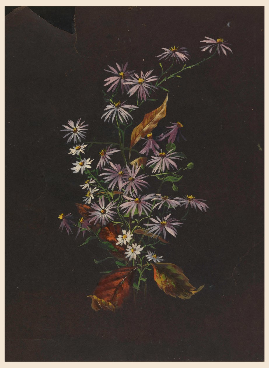 秋天的花束，约1890年 作者 索菲亚·克朗菲尔德