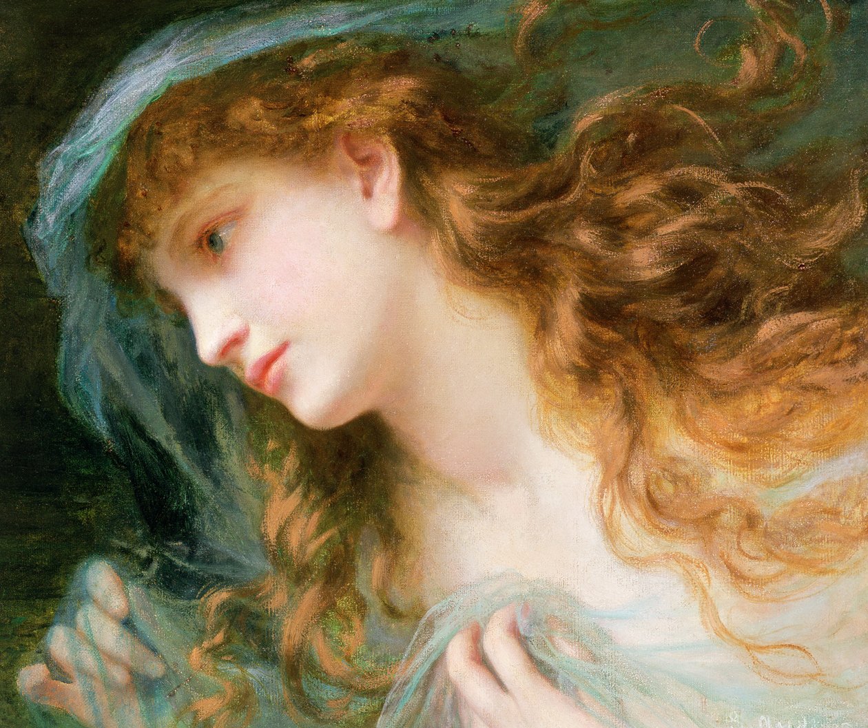 若虫的头 作者 索菲（Sophie Gengembre）安德森（Anderson）