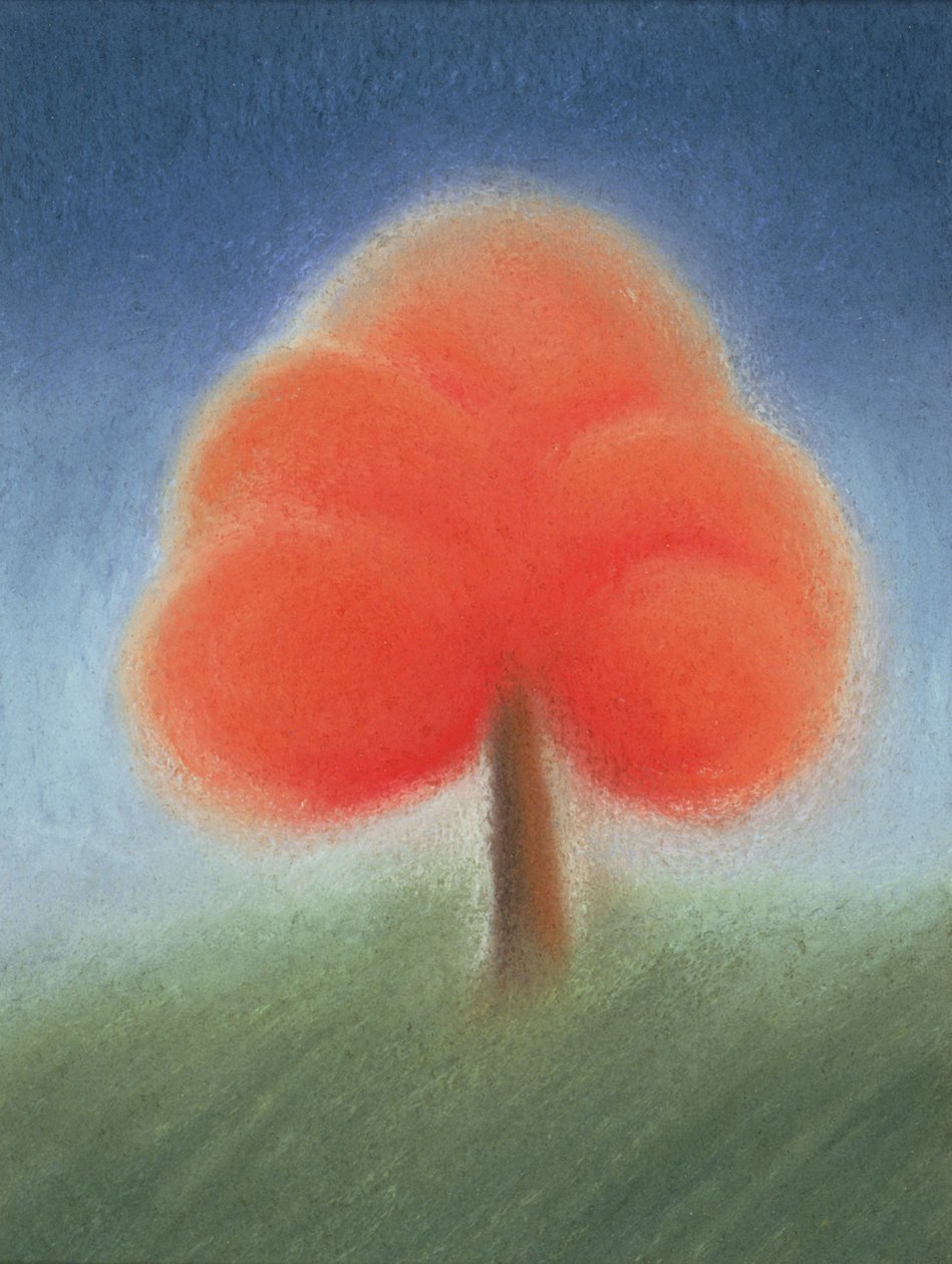 树 II 作者 苏菲·哈克