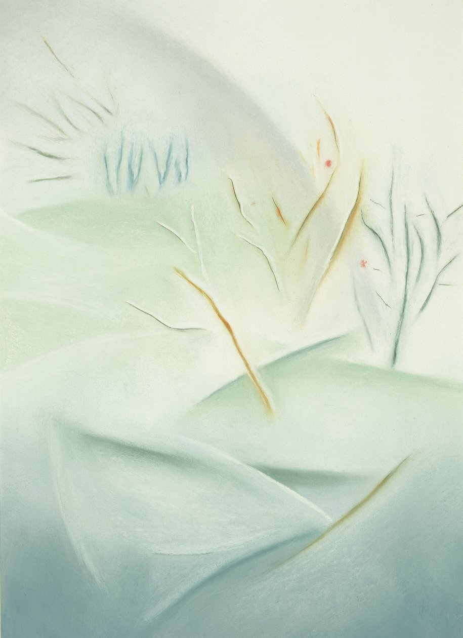 冬季 作者 苏菲·哈克
