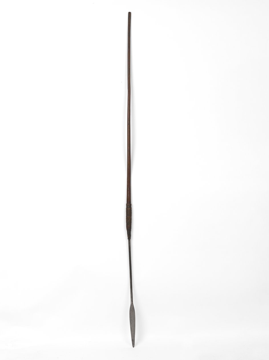 祖鲁语 assegai 或矛 作者 南非学校