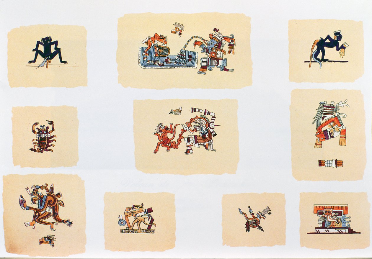 anonymus codex页面的传真副本（彩色石版画） 作者 西班牙殖民地